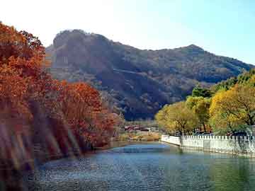 澳门天天免费精准大全，东风景逸论坛